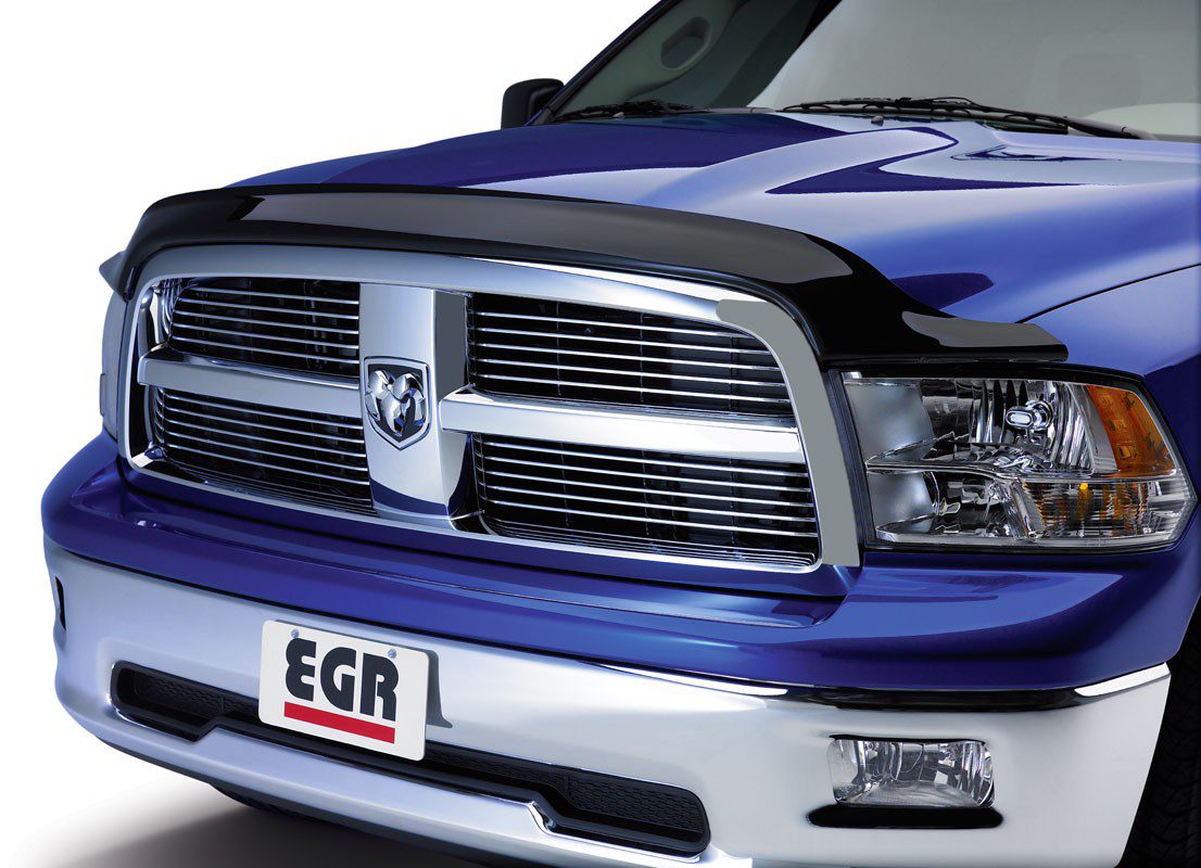 Dodge Ram Bug Guards