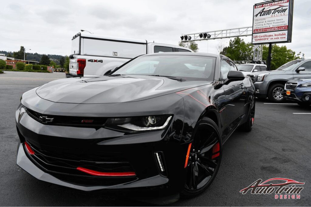 Why They're Popular in Seattle