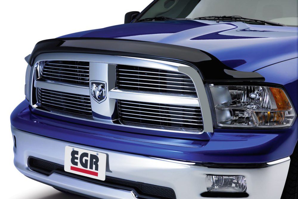 Dodge Ram Bug Guards